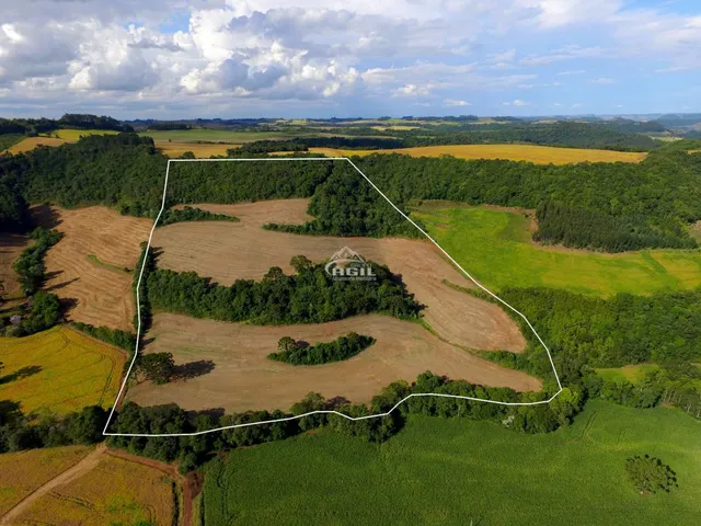 Imagem 6: Área Rural, Localizada Próximo Ao Km 16 e a Comunidade de Linha Torresmo, Interior De