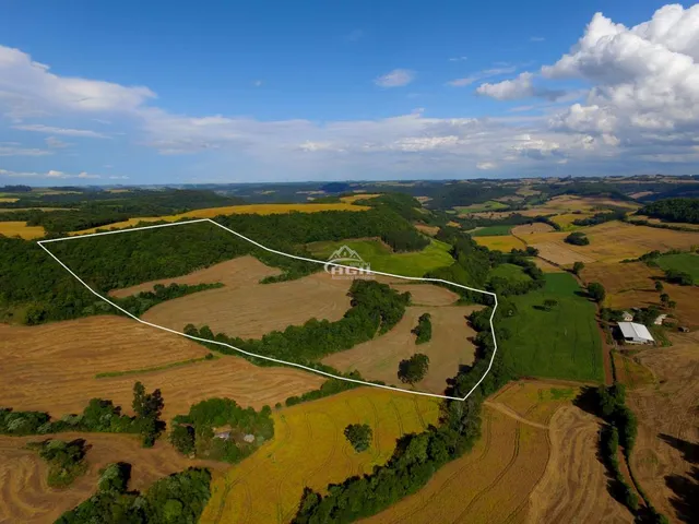 Imagem 7: Área Rural, Localizada Próximo Ao Km 16 e a Comunidade de Linha Torresmo, Interior De