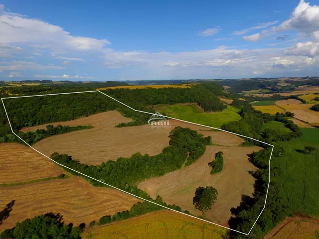 Imagem 9: Área Rural, Localizada Próximo Ao Km 16 e a Comunidade de Linha Torresmo, Interior De