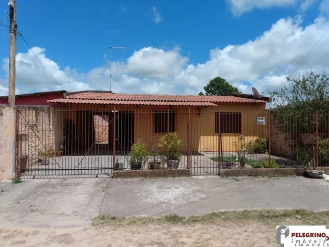 Imagem: Pelegrino Imóveis Aluga Casa no Centro