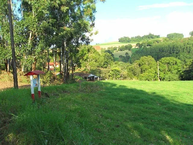 Imagem: Sítio em Alto da serra