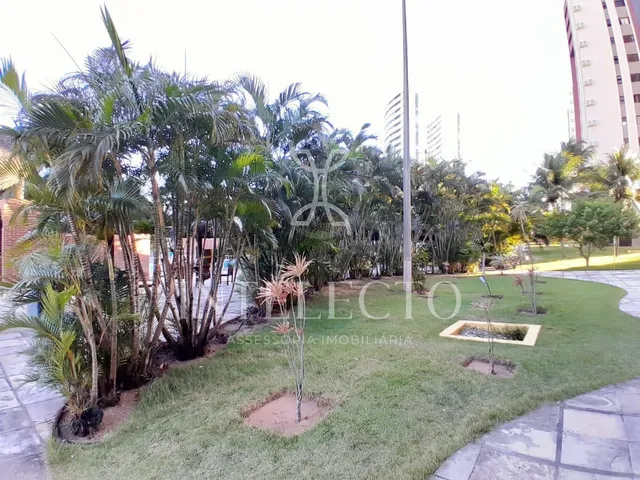 Imagem 16: Vendo Apartamento 03 Quartos Nova Parnamirim