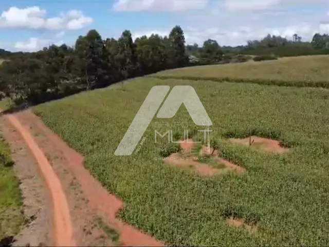 Imagem: Fazenda Excelente na Região de Tres Corações