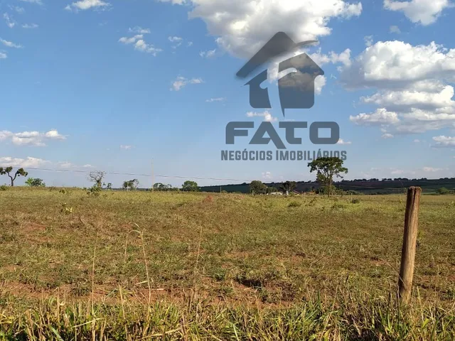 Imagem: Fazenda, Arrendamento, Oportunidade, Cana