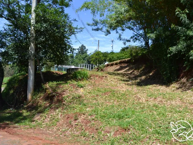Imagem: Terreno com 3 Dormitorio(S) Localizado(A)