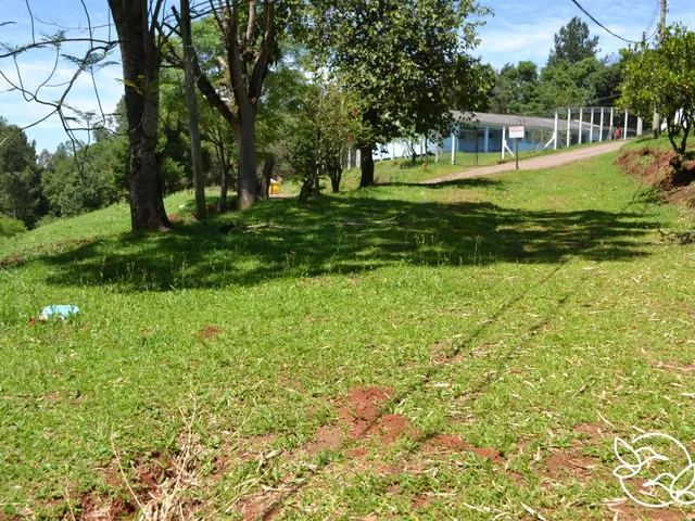 Imagem 3: Terreno com 3 Dormitorio(S) Localizado(A) no Bairro Morro do Leôncio em Taquara / Rio Gra