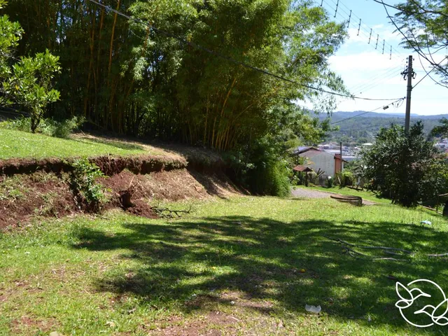 Imagem 5: Terreno com 3 Dormitorio(S) Localizado(A) no Bairro Morro do Leôncio em Taquara / Rio Gra