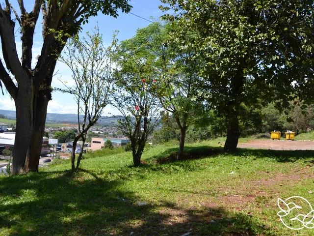 Imagem 7: Terreno com 3 Dormitorio(S) Localizado(A) no Bairro Morro do Leôncio em Taquara / Rio Gra