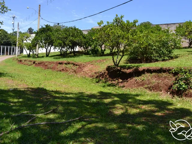 Imagem 8: Terreno com 3 Dormitorio(S) Localizado(A) no Bairro Morro do Leôncio em Taquara / Rio Gra