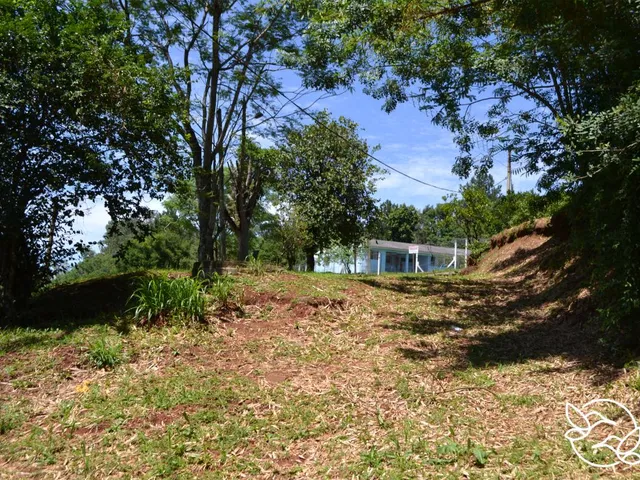 Imagem 9: Terreno com 3 Dormitorio(S) Localizado(A) no Bairro Morro do Leôncio em Taquara / Rio Gra