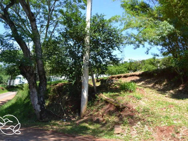 Imagem 10: Terreno com 3 Dormitorio(S) Localizado(A) no Bairro Morro do Leôncio em Taquara / Rio Gra