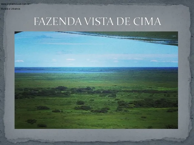 Imagem: Fazenda Pecuária no Pantanal de Poconé