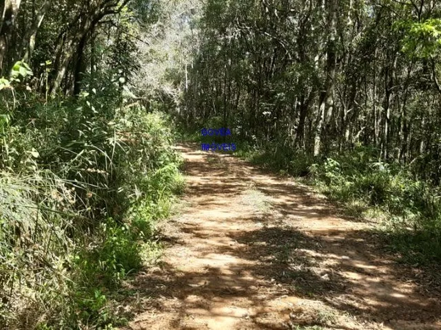 Imagem 11: ÁREA DE 20.MIL M² ESCRITURADA E REGISTRADA, SÓ 179 MIL, DÁ FINANCIAMENTO. PROX