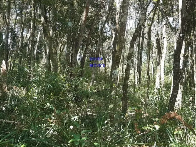 Imagem 2: ÁREA DE 20.MIL M² ESCRITURADA E REGISTRADA, SÓ 179 MIL, DÁ FINANCIAMENTO. PROX