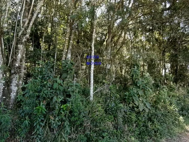 Imagem 13: ÁREA DE 20.MIL M² ESCRITURADA E REGISTRADA, SÓ 179 MIL, DÁ FINANCIAMENTO. PROX