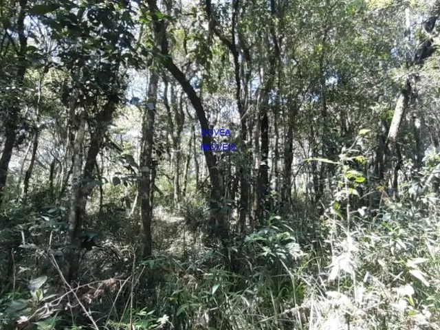 Imagem 15: ÁREA DE 20.MIL M² ESCRITURADA E REGISTRADA, SÓ 179 MIL, DÁ FINANCIAMENTO. PROX