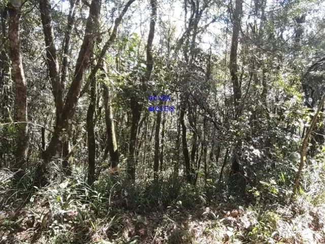 Imagem 7: ÁREA DE 20.MIL M² ESCRITURADA E REGISTRADA, SÓ 179 MIL, DÁ FINANCIAMENTO. PROX