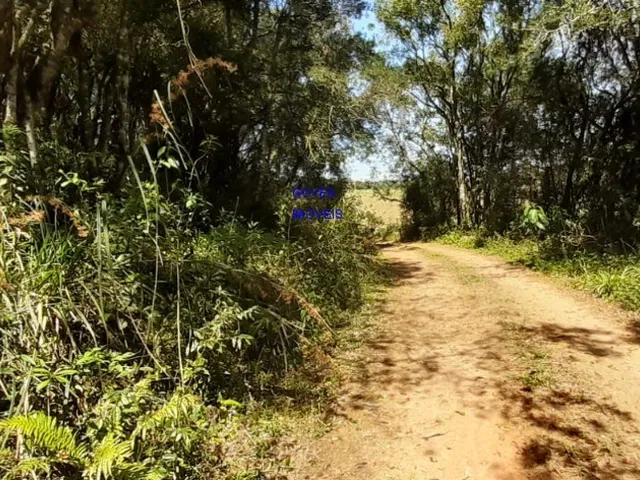 Imagem 6: ÁREA DE 20.MIL M² ESCRITURADA E REGISTRADA, SÓ 179 MIL, DÁ FINANCIAMENTO. PROX