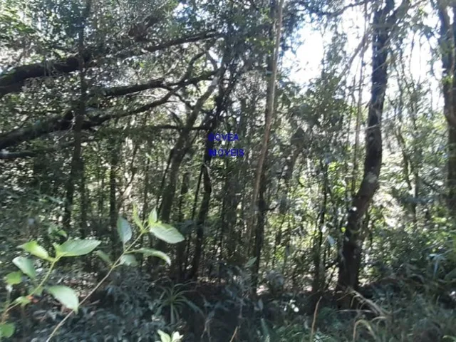 Imagem 4: ÁREA DE 20.MIL M² ESCRITURADA E REGISTRADA, SÓ 179 MIL, DÁ FINANCIAMENTO. PROX