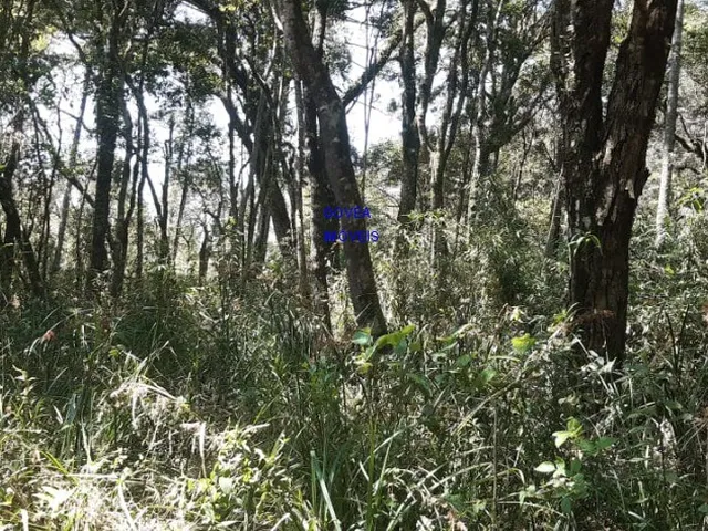 Imagem 14: ÁREA DE 20.MIL M² ESCRITURADA E REGISTRADA, SÓ 179 MIL, DÁ FINANCIAMENTO. PROX