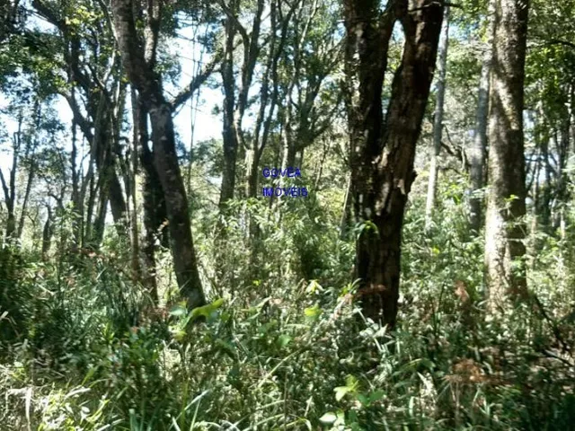 Imagem 8: ÁREA DE 20.MIL M² ESCRITURADA E REGISTRADA, SÓ 179 MIL, DÁ FINANCIAMENTO. PROX