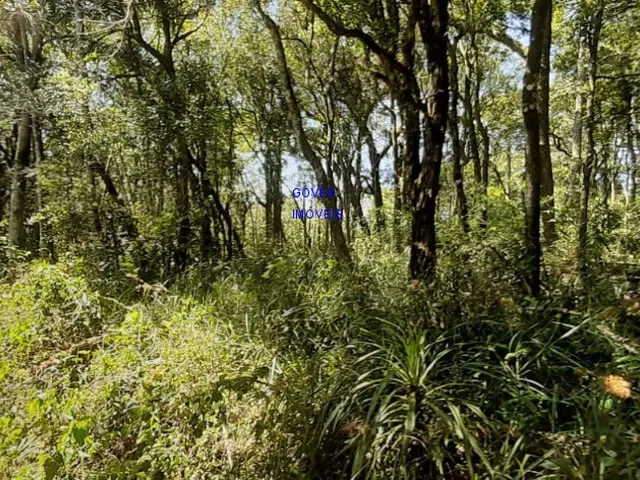 Imagem 9: ÁREA DE 20.MIL M² ESCRITURADA E REGISTRADA, SÓ 179 MIL, DÁ FINANCIAMENTO. PROX