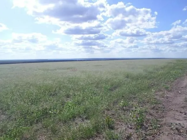 Imagem: Fazenda para Venda na Regiao de Bom Jesus-Pi