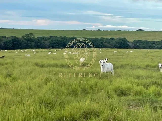 Imagem: Fazenda em Araguaína - To