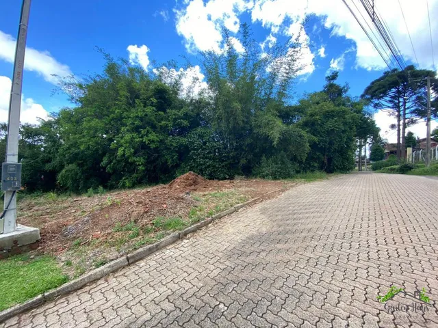 Imagem 1: Terreno no Bairro Pousada da Neve, Nova Petrópolis- Rs