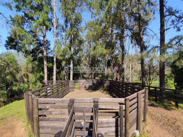 Imagem 7: Cabanha para Criação de Cavalos Crioulos e Centro de Treinamentos Dentro de Porto
