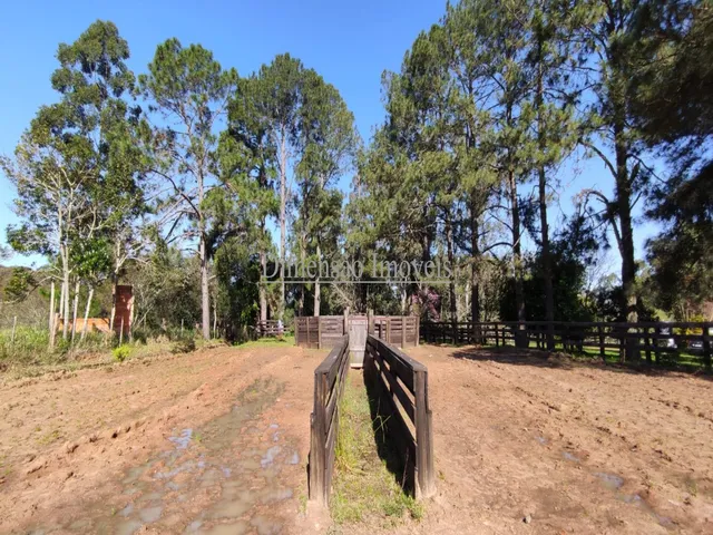 Imagem 9: Cabanha para Criação de Cavalos Crioulos e Centro de Treinamentos Dentro de Porto