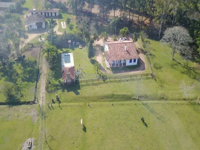 Imagem 8: Cabanha para Criação de Cavalos Crioulos e Centro de Treinamentos Dentro de Porto