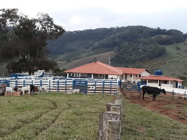 Imagem: Fazenda para Venda em Rio Espera - Minas
