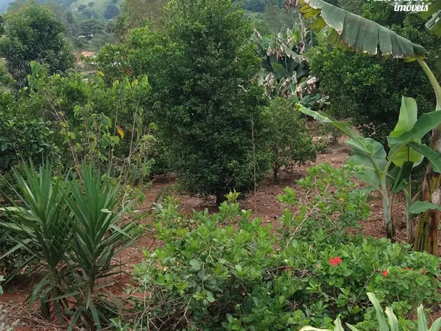 Imagem 9: Venda de Chácara em Campestre