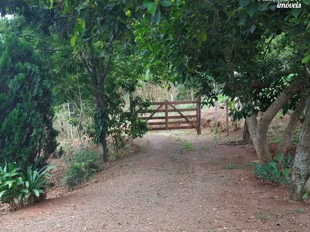 Imagem 8: Venda de Chácara em Campestre