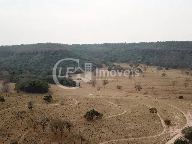 Imagem 13: Fazenda em São Gabriel do Oeste Ms, 518 Hectares