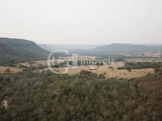 Imagem 16: Fazenda em São Gabriel do Oeste Ms, 518 Hectares