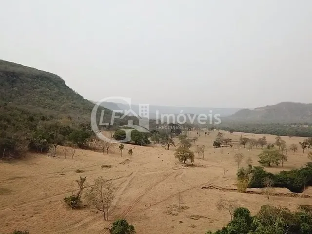 Imagem 7: Fazenda em São Gabriel do Oeste Ms, 518 Hectares