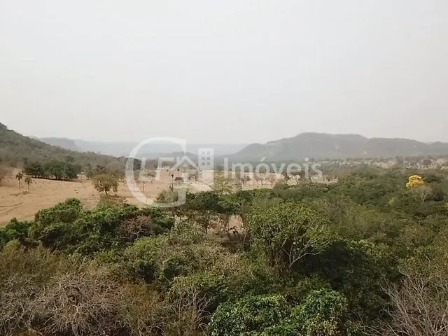 Imagem 3: Fazenda em São Gabriel do Oeste Ms, 518 Hectares