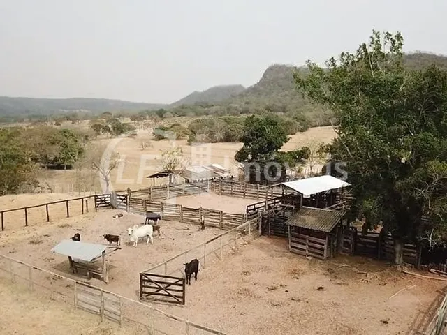 Imagem 14: Fazenda em São Gabriel do Oeste Ms, 518 Hectares