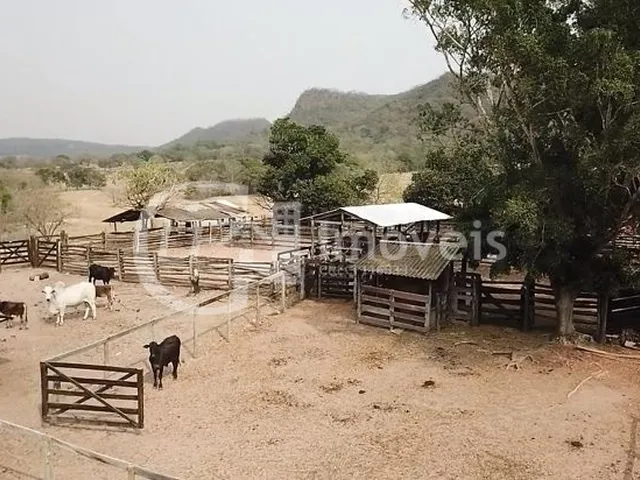 Imagem 11: Fazenda em São Gabriel do Oeste Ms, 518 Hectares