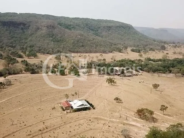 Imagem 8: Fazenda em São Gabriel do Oeste Ms, 518 Hectares