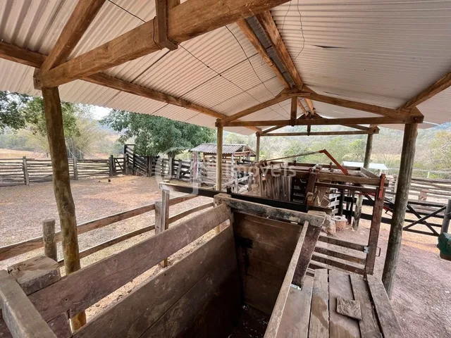 Imagem 5: Fazenda em São Gabriel do Oeste Ms, 518 Hectares