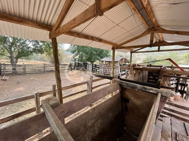 Imagem 9: Fazenda em São Gabriel do Oeste Ms, 518 Hectares