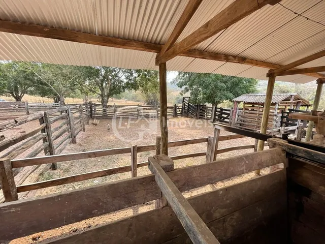 Imagem 15: Fazenda em São Gabriel do Oeste Ms, 518 Hectares