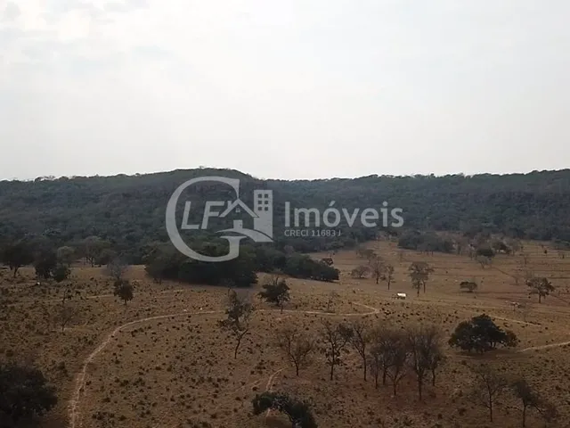Imagem 4: Fazenda em São Gabriel do Oeste Ms, 518 Hectares
