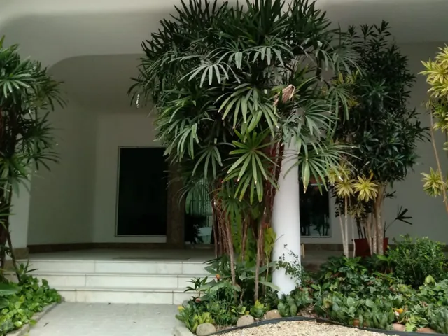 Imagem 7: Apartamento - Victor Konder - Blumenau
