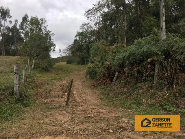 Imagem: A fazenda possui 2.147.483.647m² de Área e está