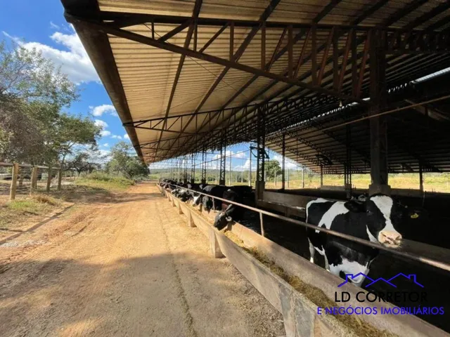 Imagem: A fazenda possui 12 Dormitórios, 7 Suítes, Acomodam 10