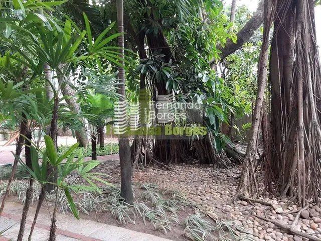 Imagem 6: Apartamento para Venda em Recife, Casa Forte, 4 Dormitórios, 2 Suítes, 4 Banheiros, 2